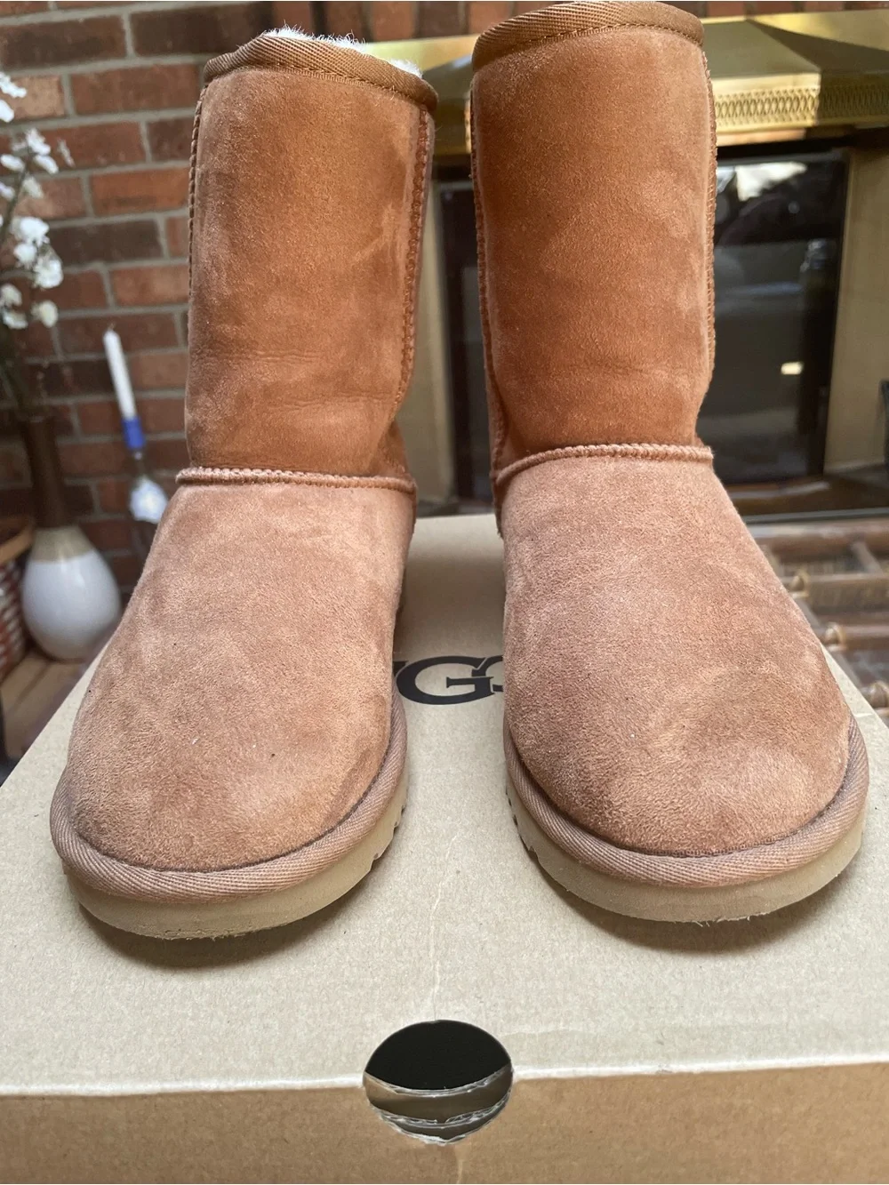 UGG Women's Short Suede Boots in Chestnut
